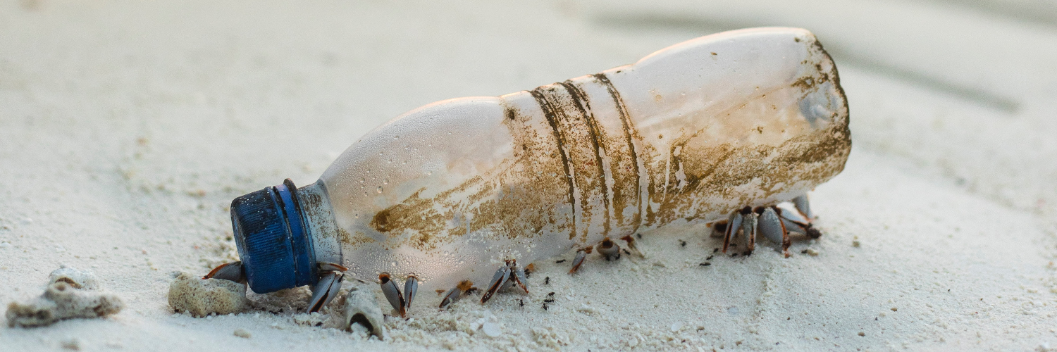 Bannière de la problématique : Anticiper les changements climatiques