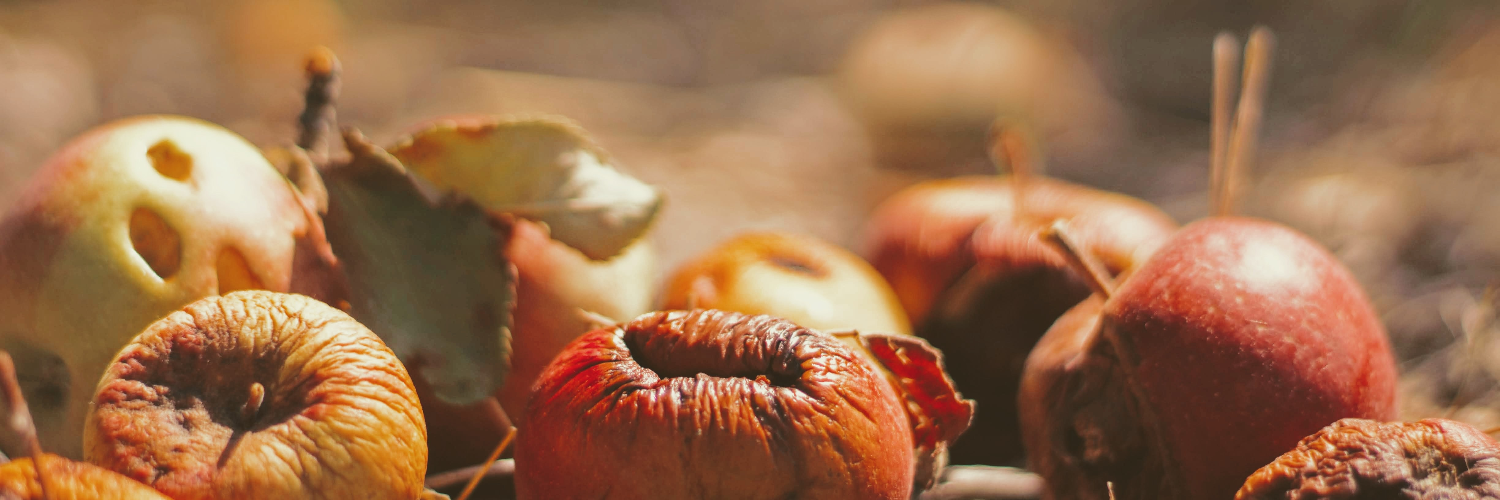 Bannière de la problématique : Favoriser les promotions flash