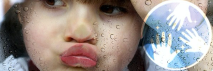 Bannière de la solution : LE KIT ANTIMICROBIEN