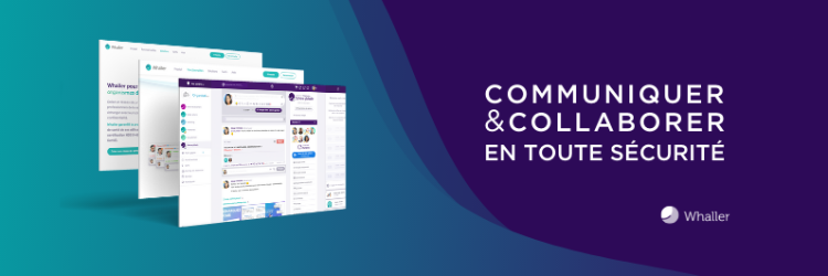 Bannière de la solution : Whaller